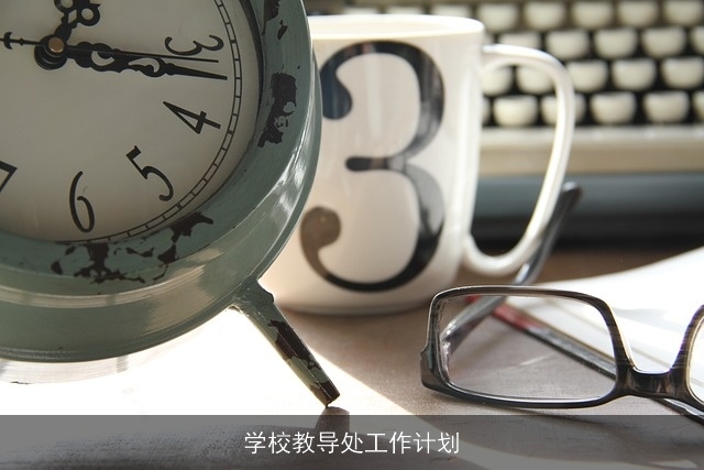 学校教导处工作计划