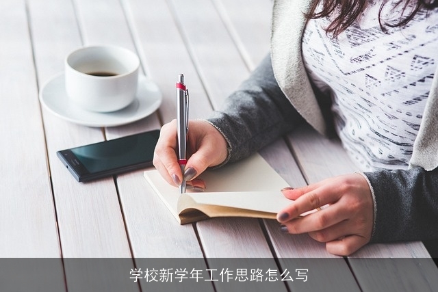 学校新学年工作思路怎么写