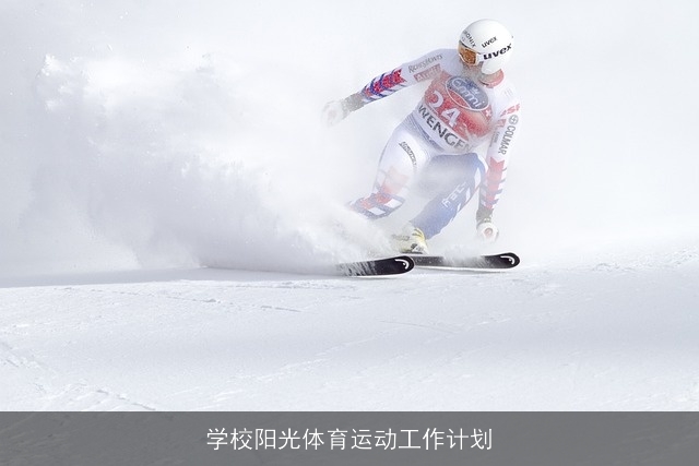 学校阳光体育运动工作计划