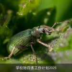 学校除四害工作计划2025