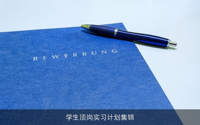 学生顶岗实习计划集锦