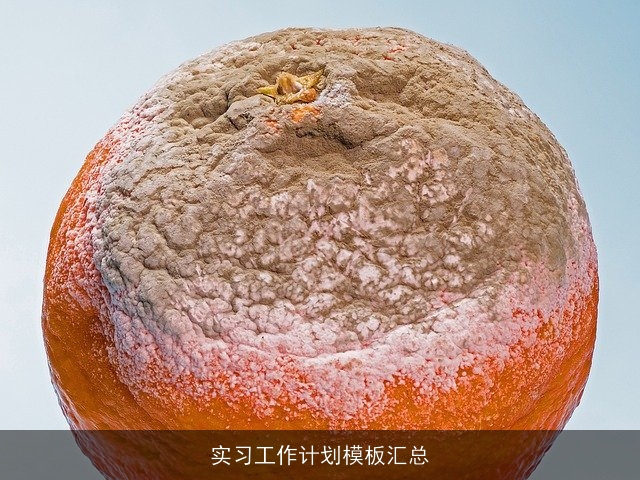 实习工作计划模板汇总