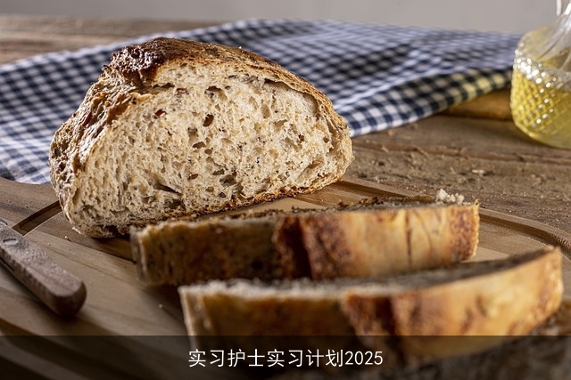 实习护士实习计划2025