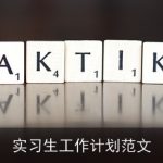 实习生工作计划范文