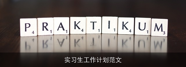 实习生工作计划范文