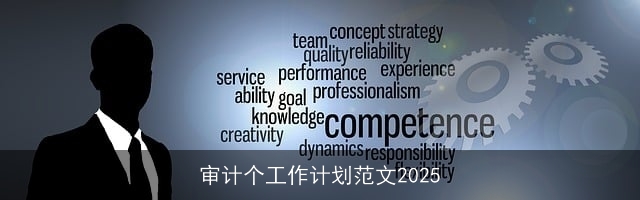 审计个工作计划范文2025