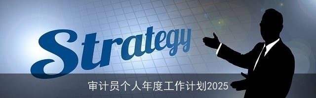 审计员个人年度工作计划2025