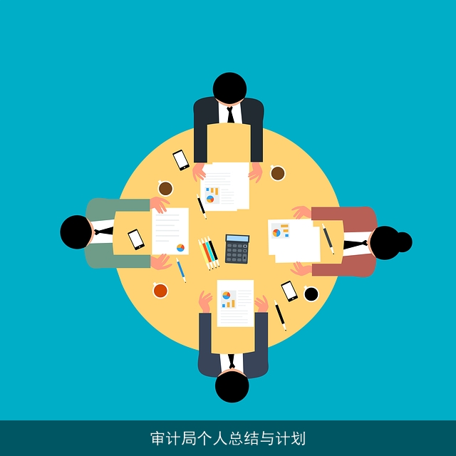 审计局个人总结与计划