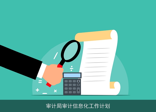 审计局审计信息化工作计划