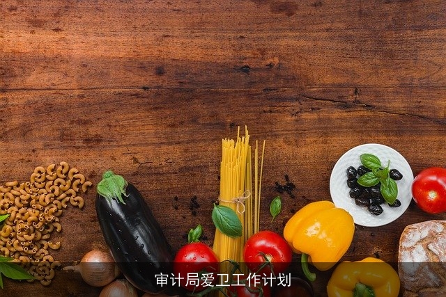 审计局爱卫工作计划