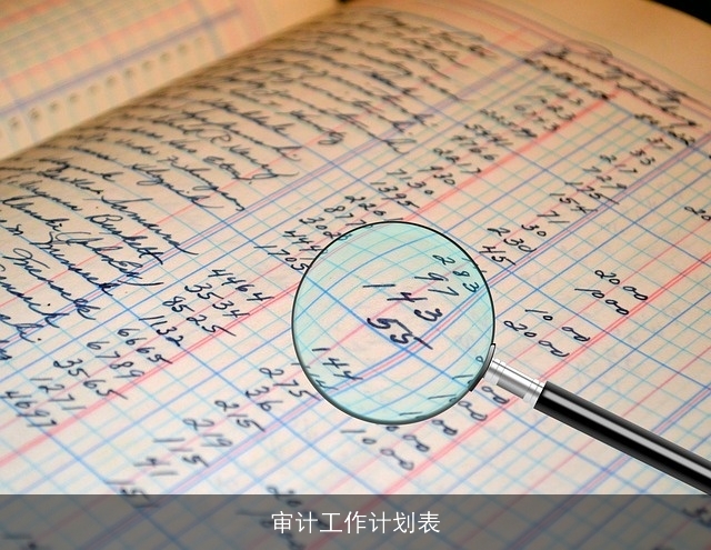审计工作计划表