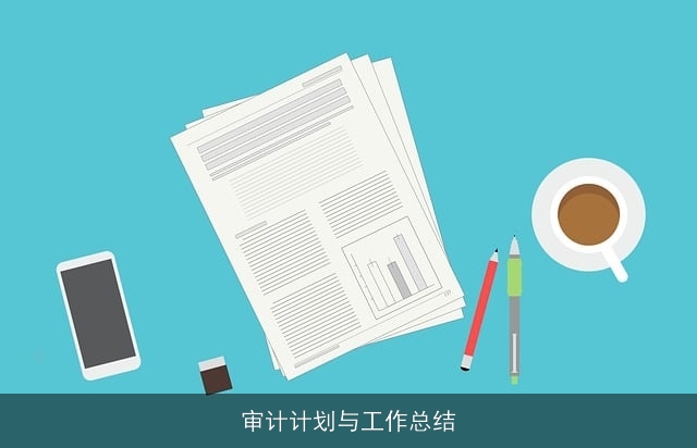 审计计划与工作总结