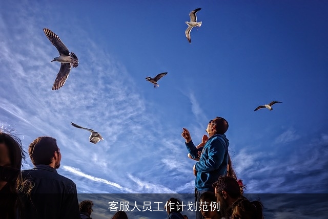 客服人员工作计划范例