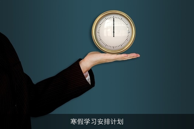 寒假学习安排计划