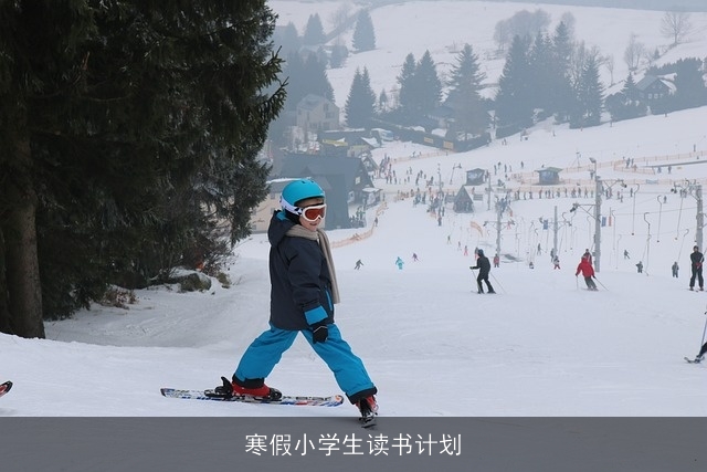 寒假小学生读书计划