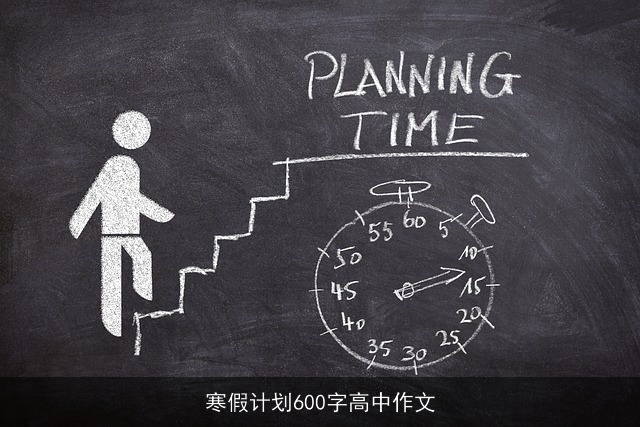 寒假计划600字高中作文