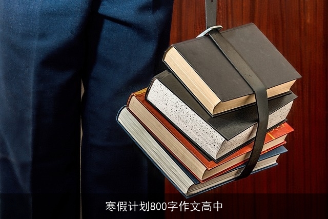 寒假计划800字作文高中