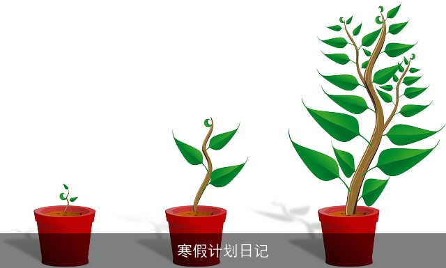 寒假计划日记