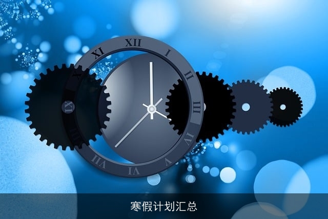寒假计划汇总