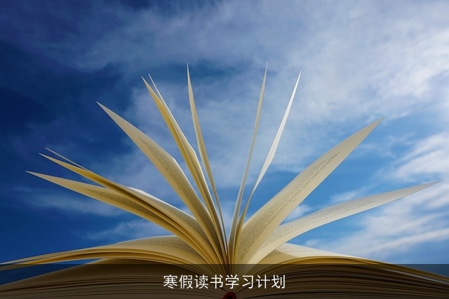 寒假读书学习计划