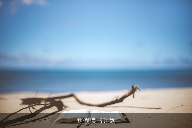 寒假读书计划