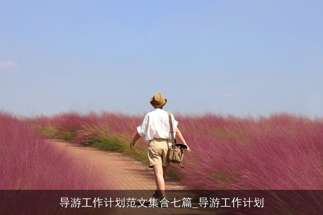 导游工作计划范文集合七篇_导游工作计划