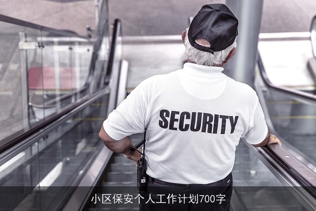 小区保安个人工作计划700字