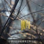 小学2025学校德育工作计划