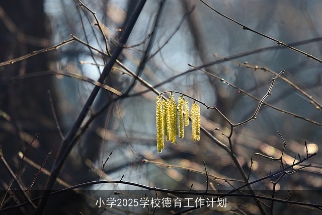 小学2025学校德育工作计划