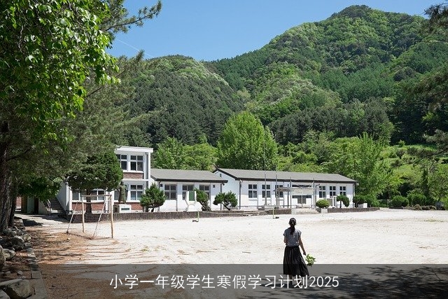 小学一年级学生寒假学习计划2025