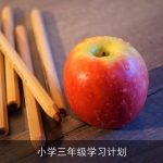 小学三年级学习计划