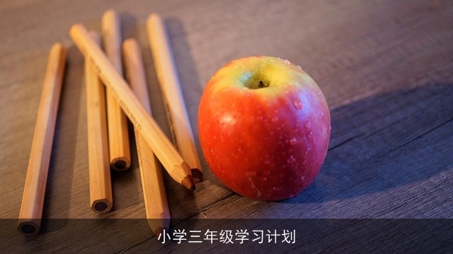 小学三年级学习计划