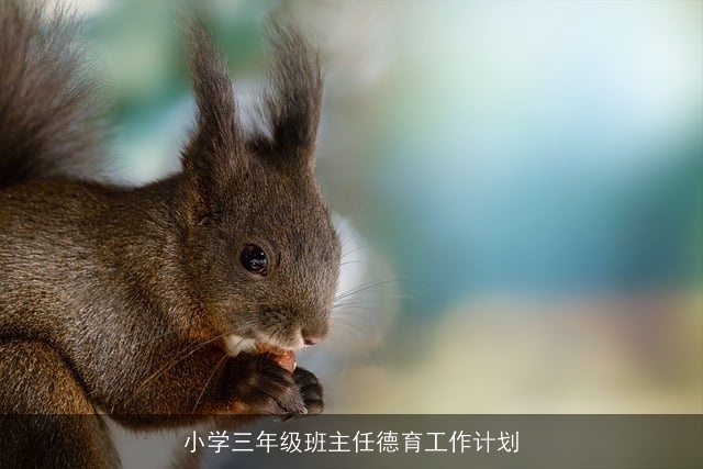 小学三年级班主任德育工作计划