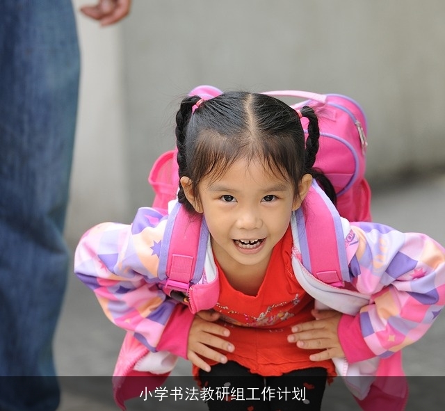 小学书法教研组工作计划