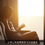 小学二年级寒假学习计划报告