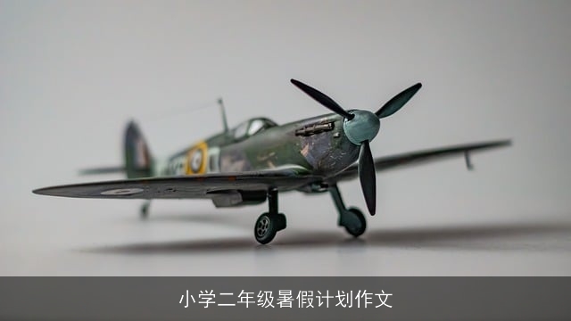 小学二年级暑假计划作文