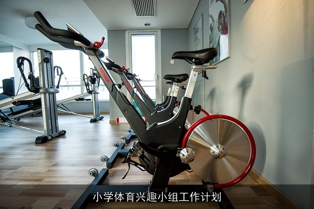 小学体育兴趣小组工作计划