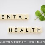 小学六年级上学期班主任教学工作计划