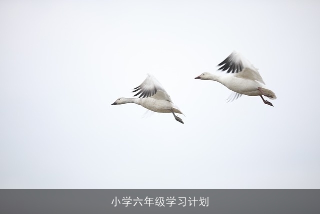 小学六年级学习计划