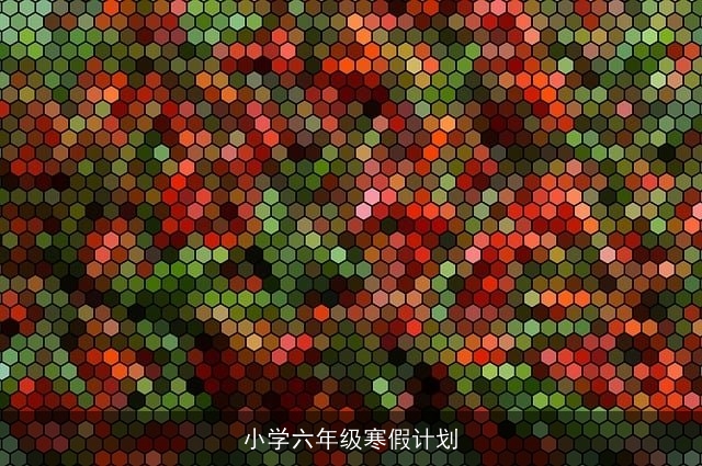 小学六年级寒假计划