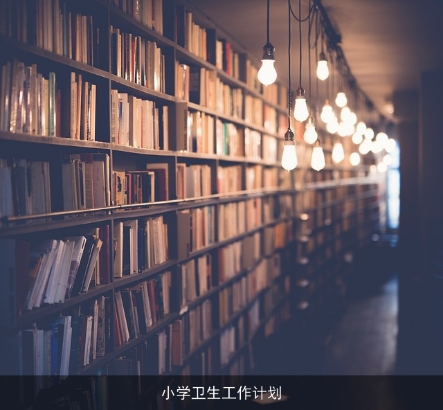 小学卫生工作计划