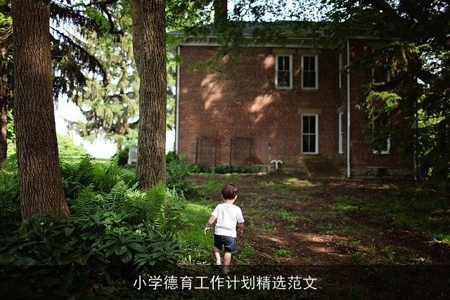 小学德育工作计划精选范文