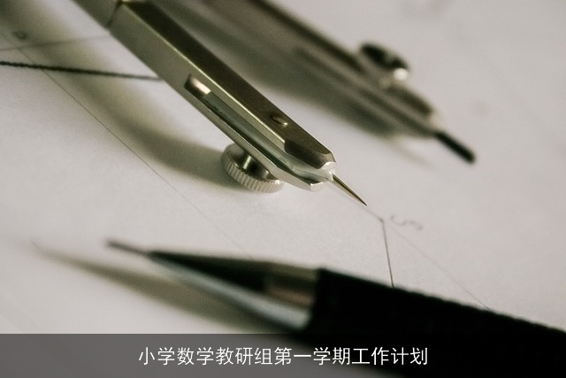 小学数学教研组第一学期工作计划