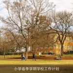 小学春季学期学校工作计划