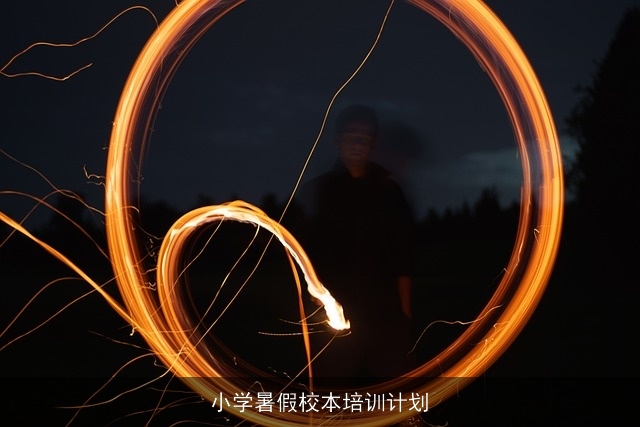 小学暑假校本培训计划