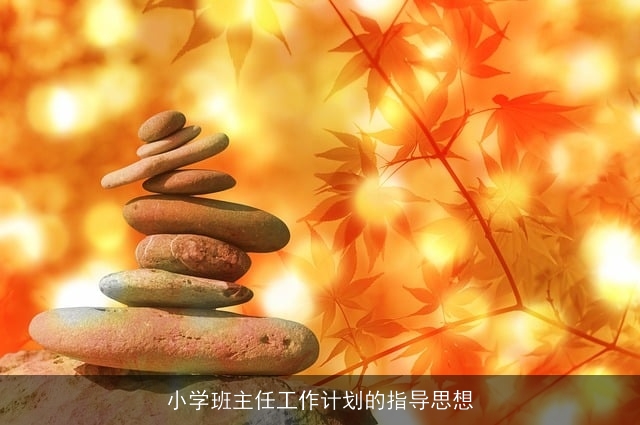 小学班主任工作计划的指导思想