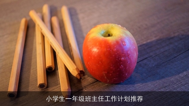 小学生一年级班主任工作计划推荐
