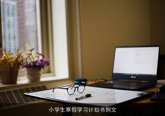 小学生寒假学习计划书例文