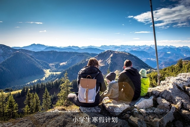 小学生寒假计划