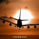小学生寒假计划书